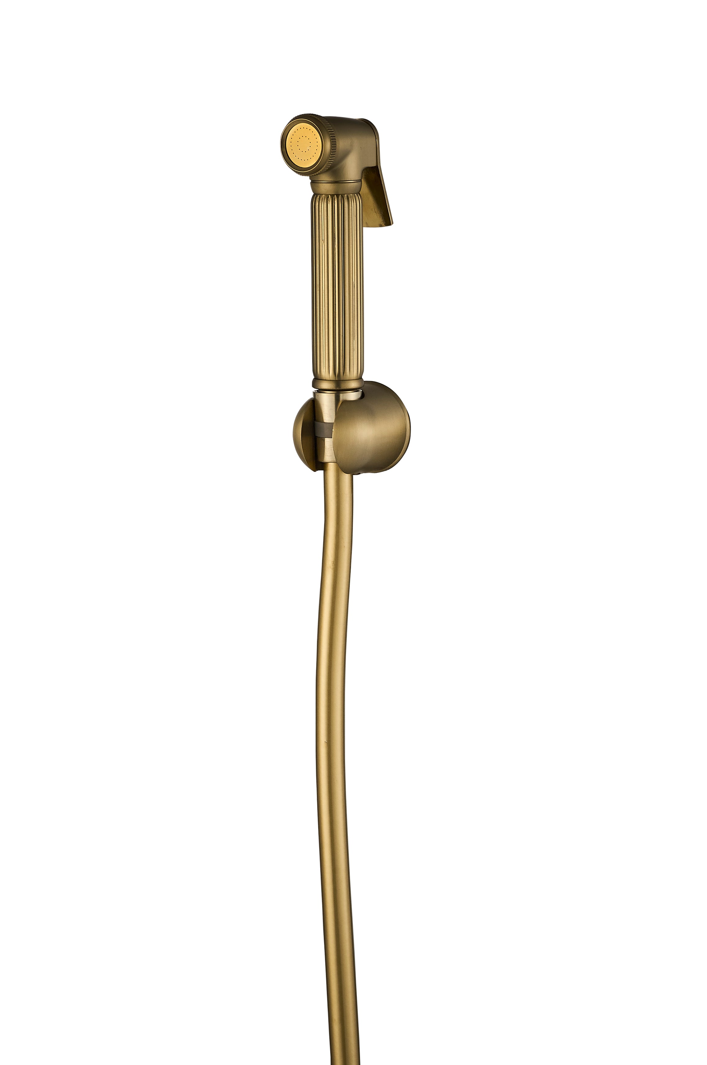 Sleek Brushed Golden Concealed set